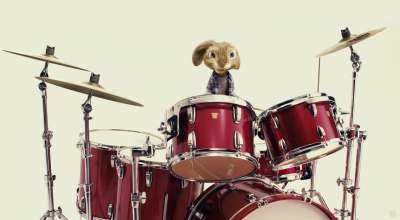 Hop Drums