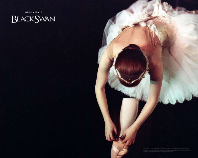 1280x1024 BlackSwan 2 Wallpaper