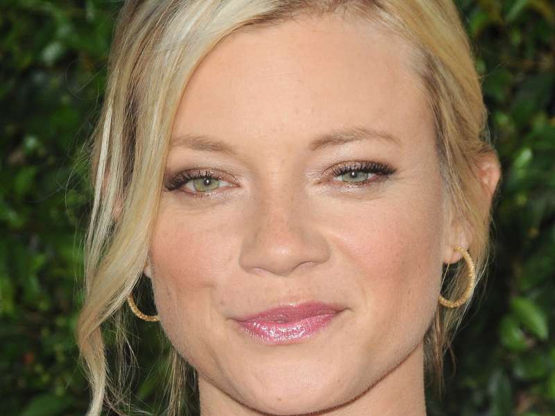 Amy Smart The Help Premiere Wallpaper