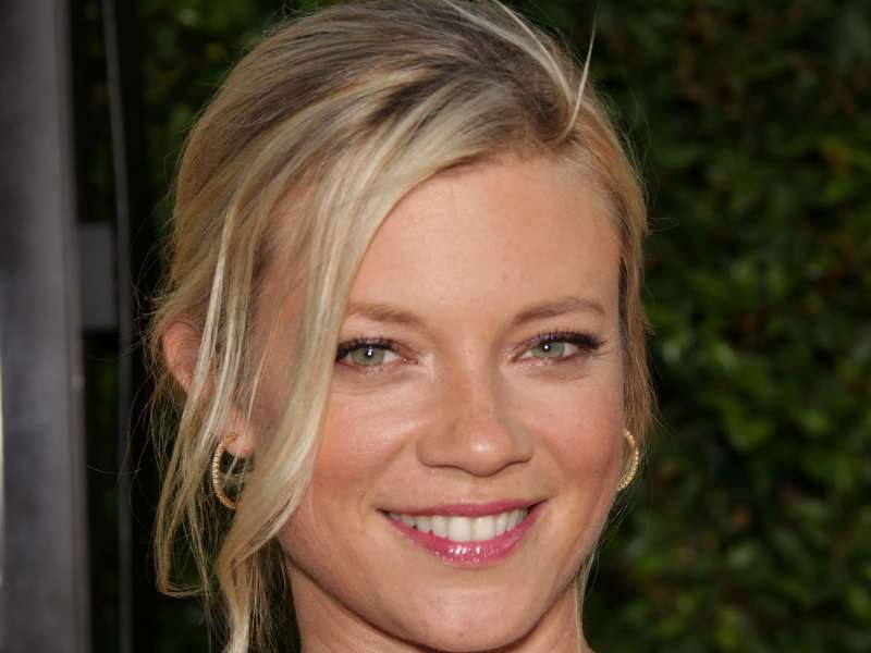 Amy Smart The Help Premiere Wallpaper