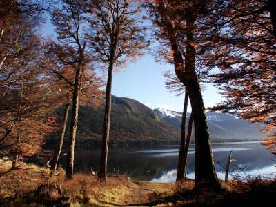 Autumn Time In Nature