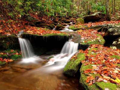 Autumn Time In Nature