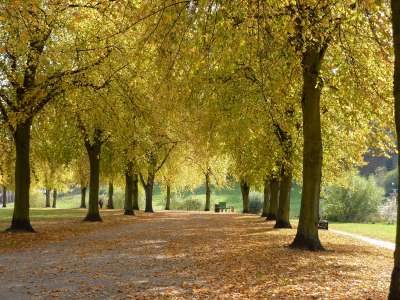 Autumn Time In Nature