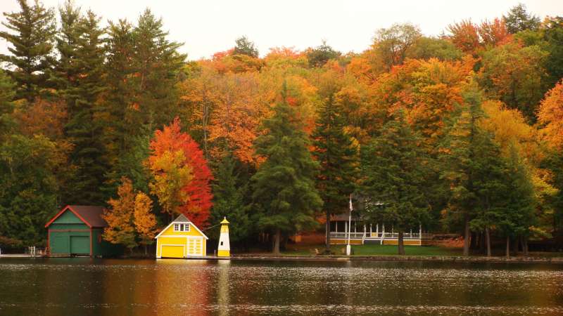 Autumn Time In Nature Wallpaper