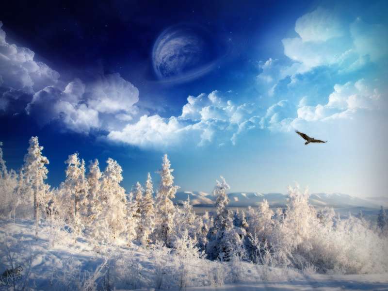 Winter Nature Wallpaper