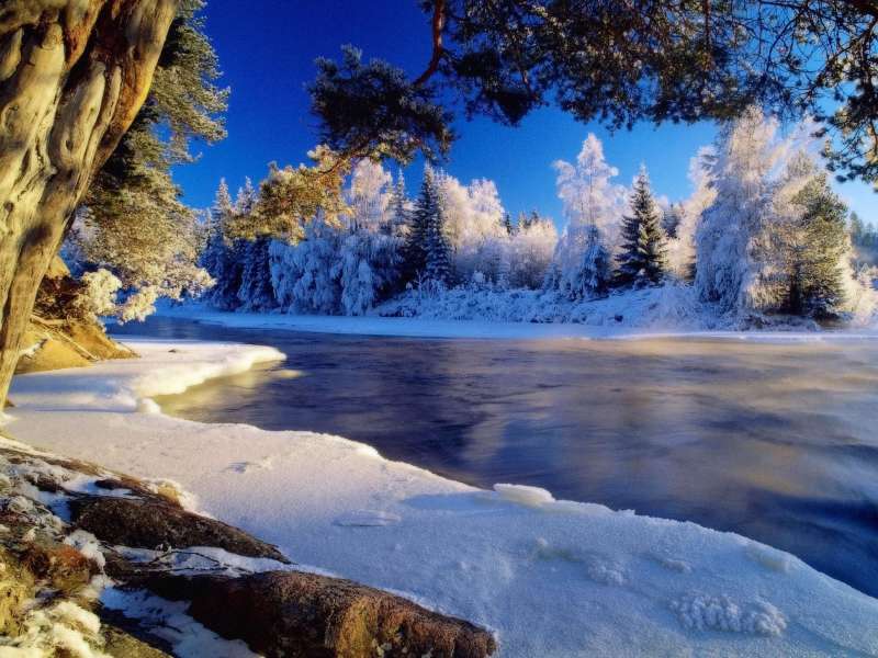 Winter Nature Wallpaper