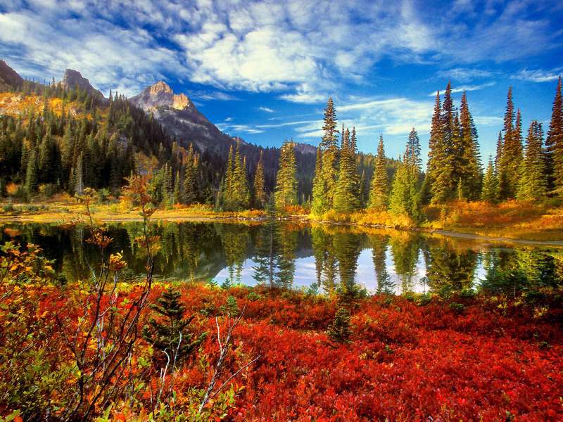 Autumn Time In Nature Wallpaper