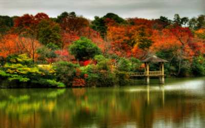 Autumn Time In Nature