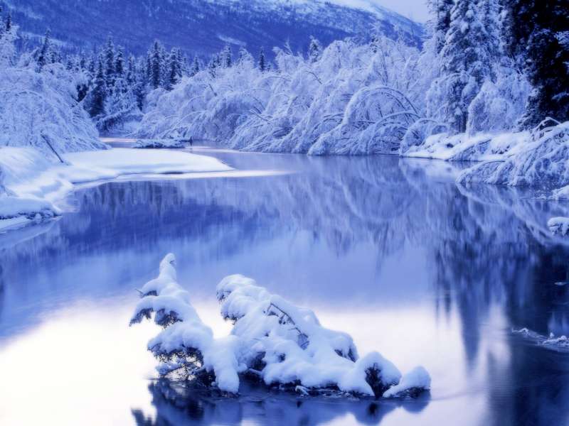 Winter Nature Wallpaper