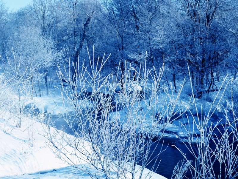 Winter Nature Wallpaper