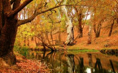 Autumn Time In Nature