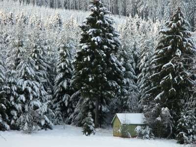 Snow And Winter