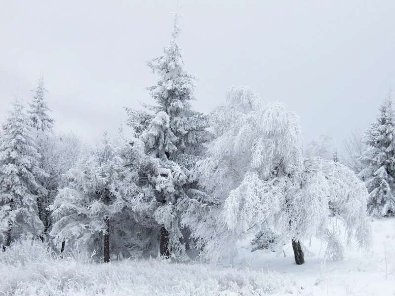 Snow And Winter Wallpaper