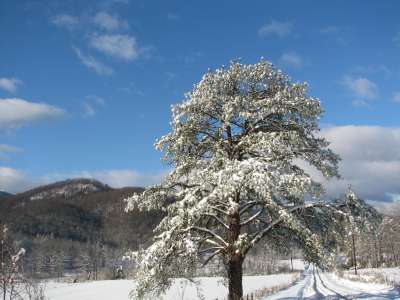 Snow And Winter