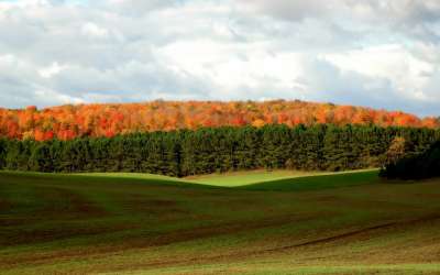 Path Of The Autumn