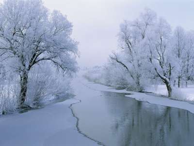 2 Winter Nature
